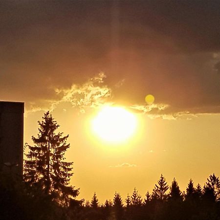 Grossdorf Appartement En Vogue Im Hahnenklee, Harz Goslar Bagian luar foto