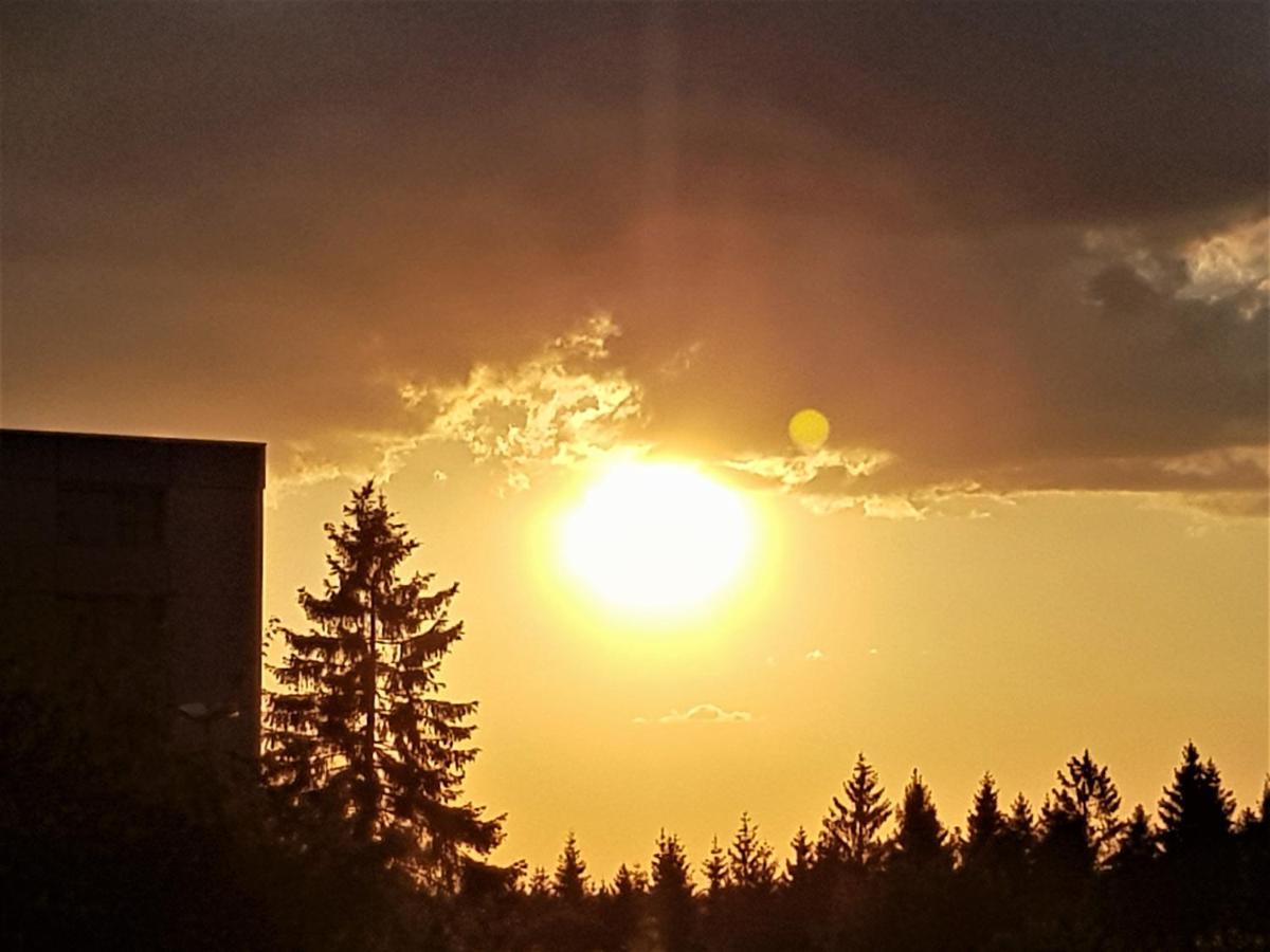 Grossdorf Appartement En Vogue Im Hahnenklee, Harz Goslar Bagian luar foto