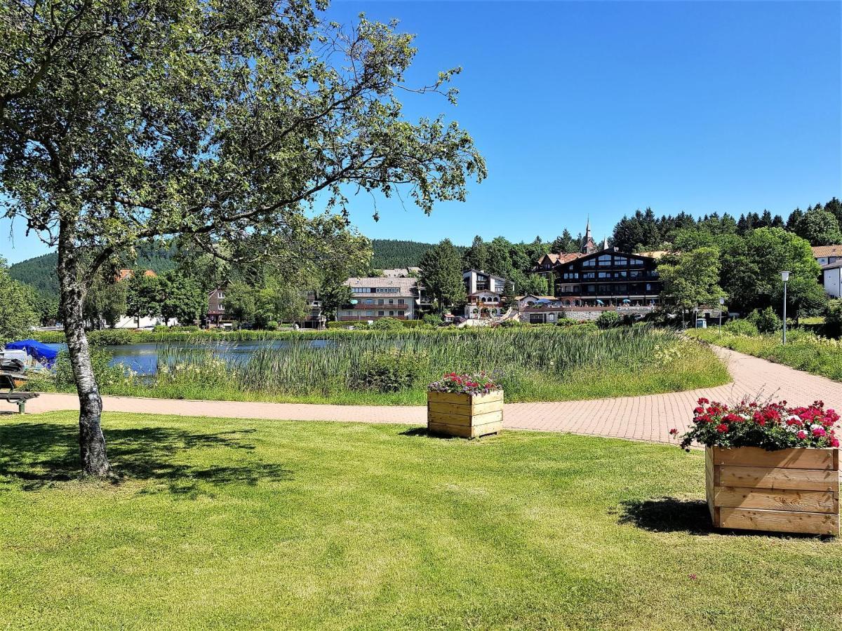 Grossdorf Appartement En Vogue Im Hahnenklee, Harz Goslar Bagian luar foto